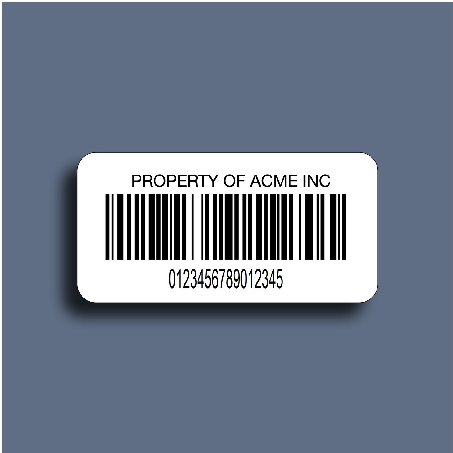 Serialized Barcode Label for asset tracking with custom text